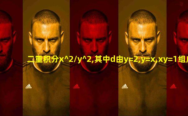 二重积分x^2/y^2,其中d由y=2,y=x,xy=1组成